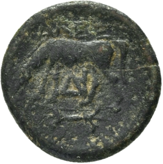 reverse CN Type 21055