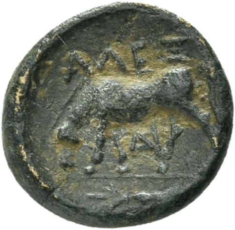 CN Type 21055, реверс, cn-coins