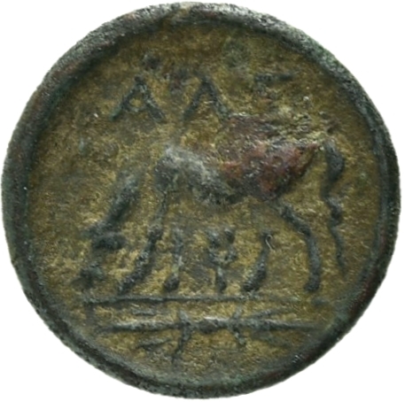 reverse CN Type 21056