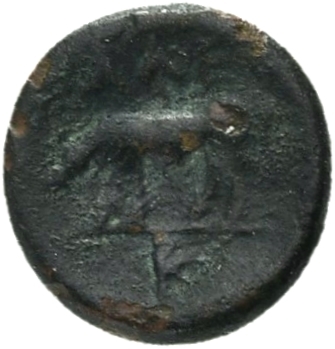 reverse CN Type 21058