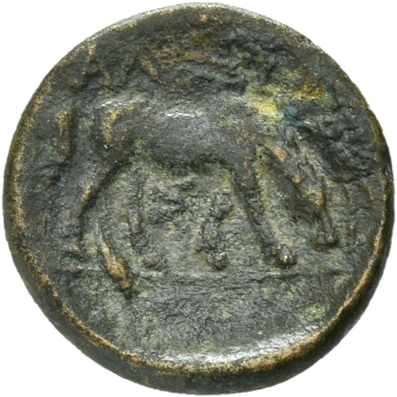 reverse CN Type 21059