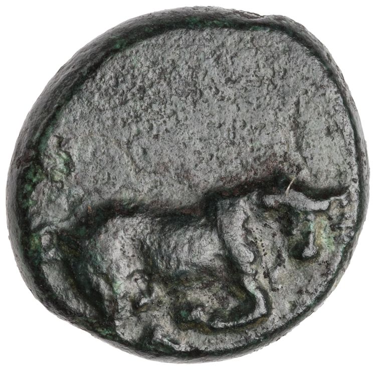 CN Type cn.madytus.1_ed.16, аверс, cn-coins