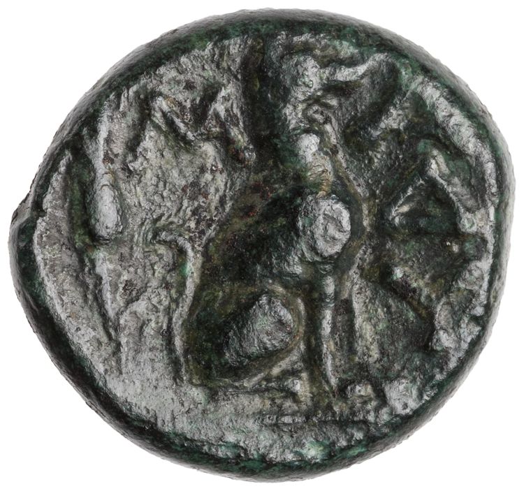 CN Type cn.madytus.1_ed.16, реверс, cn-coins