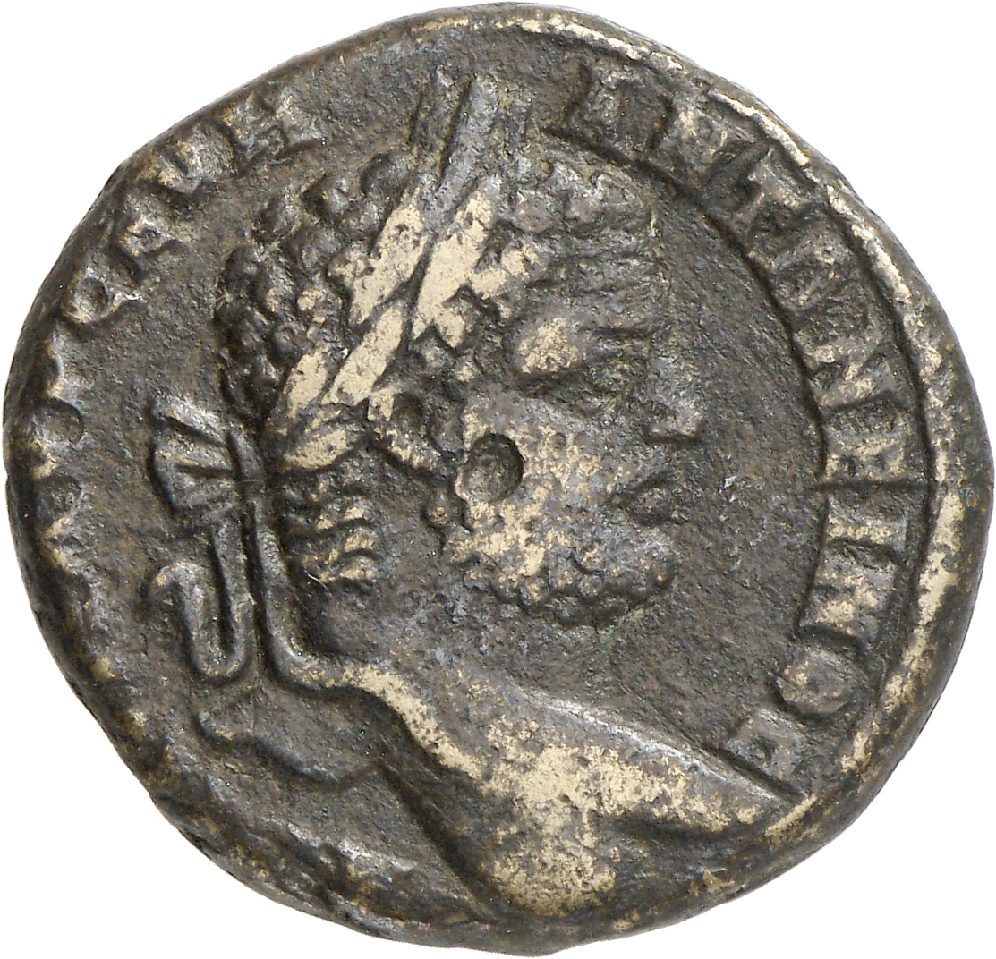 CN Type cn.serdica.1_ed.246, аверс, cn-coins