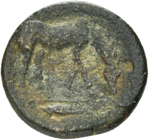 CN Type 5091, реверс, cn-coins