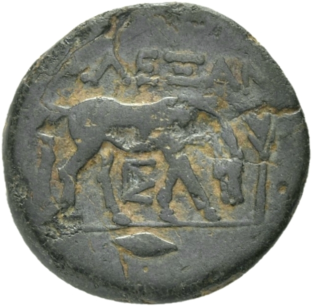 reverse CN Type 21061