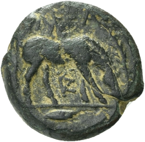 CN Type 21061, реверс, cn-coins