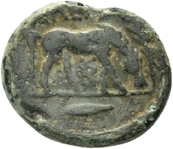CN Type 21061, реверс, cn-coins