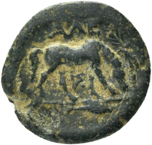 CN Type 21063, реверс, cn-coins