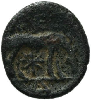 CN Type 20067, реверс, cn-coins