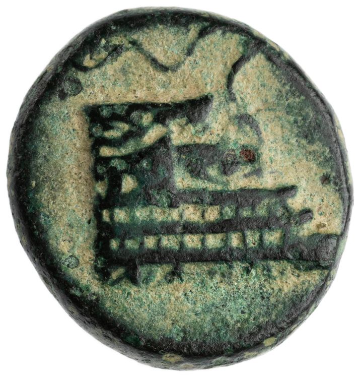 CN Type cn.elaeus.1_ed.19, аверс, cn-coins