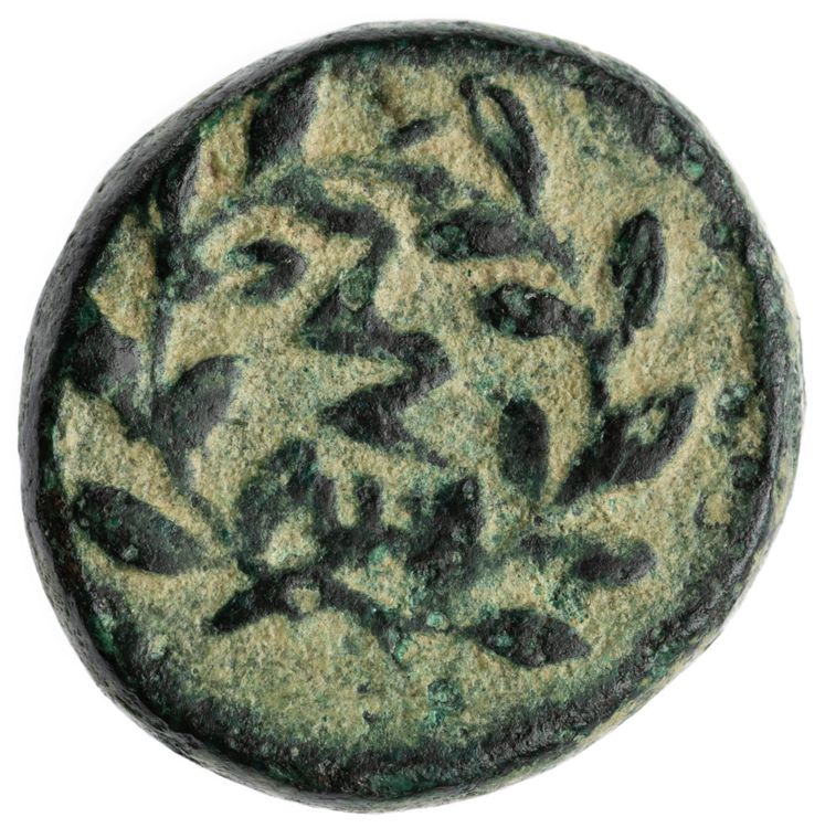 CN Type cn.elaeus.1_ed.19, реверс, cn-coins