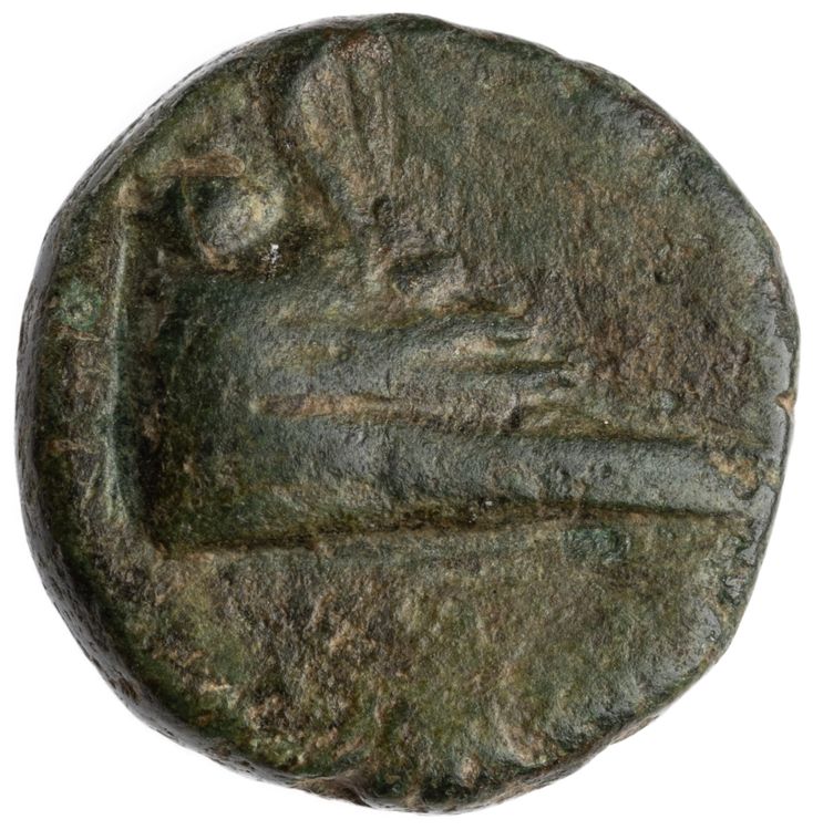 CN Type cn.elaeus.1_ed.19, аверс, cn-coins