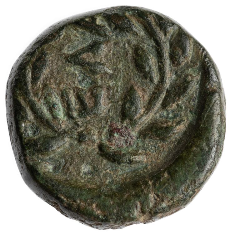 CN Type cn.elaeus.1_ed.19, реверс, cn-coins