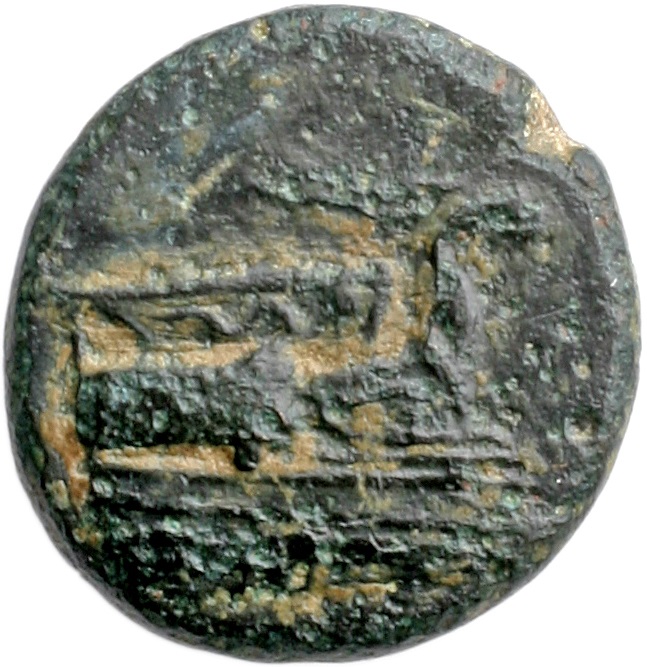 CN Type cn.elaeus.1_ed.5, аверс, cn-coins