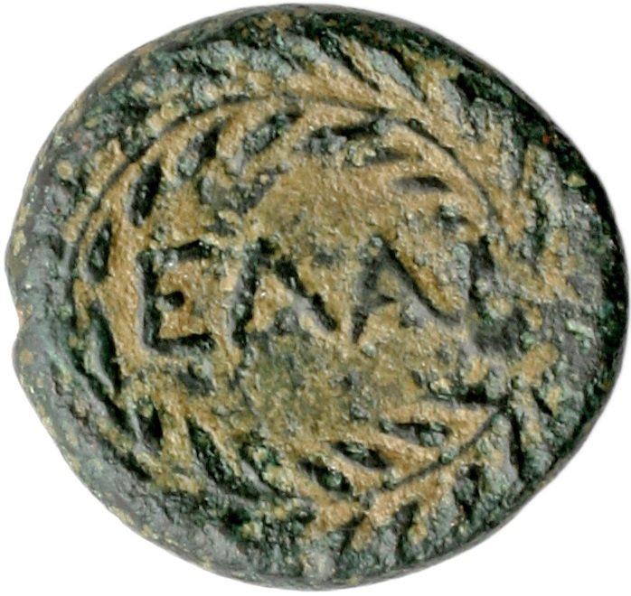 CN Type cn.elaeus.1_ed.5, реверс, cn-coins