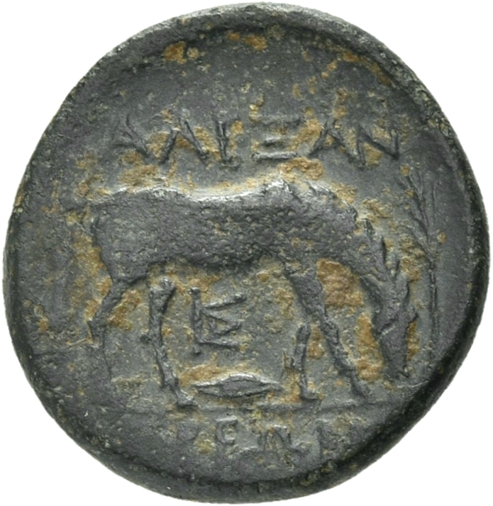 reverse CN Type 21070