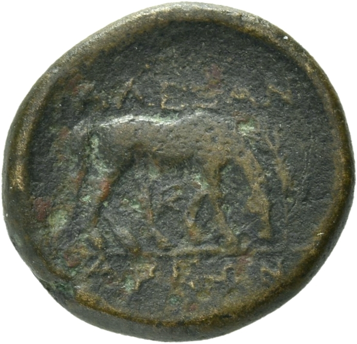 reverse CN Type 21071