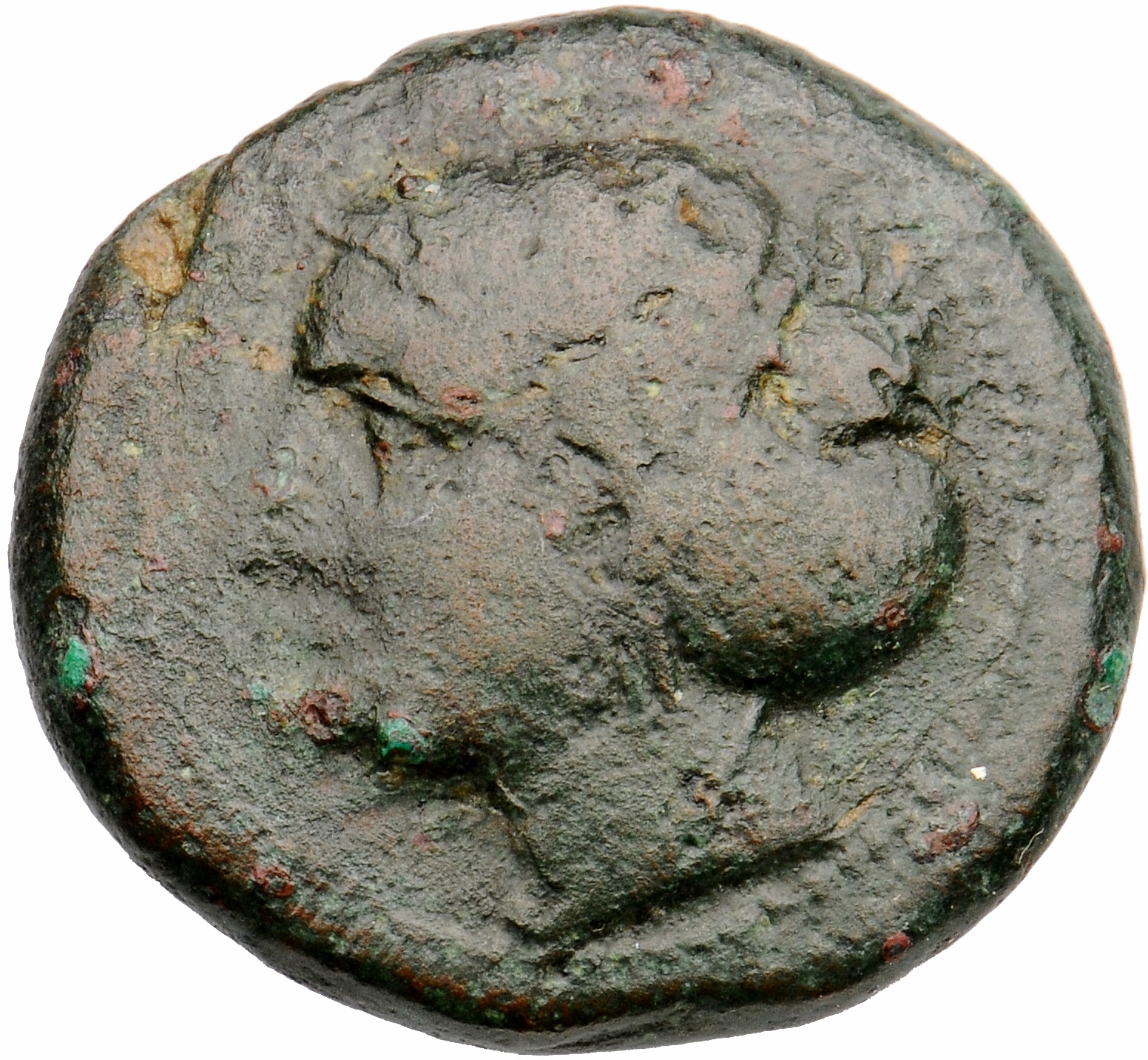 CN Type cn.sestus.1_ed.8, аверс, cn-coins