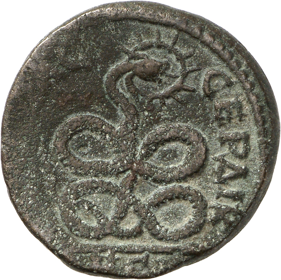 реверс CN Type cn.serdica.1_ed.337