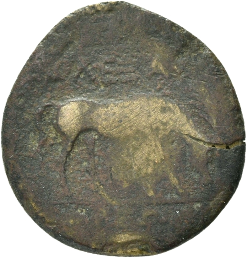 reverse CN Type 21072