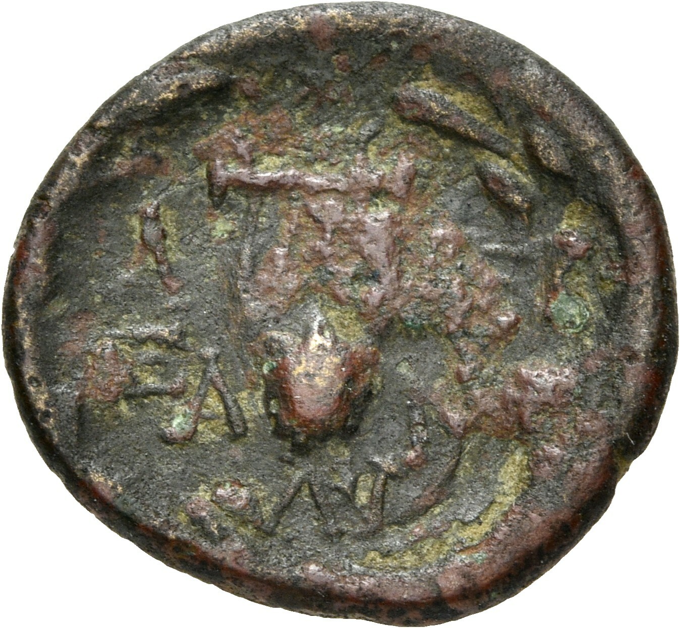 coin rev