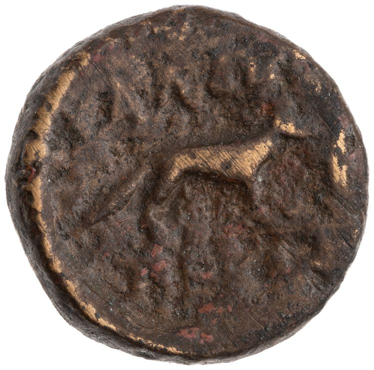 CN Type cn.alopeconnesus.1_ed.16, реверс, cn-coins