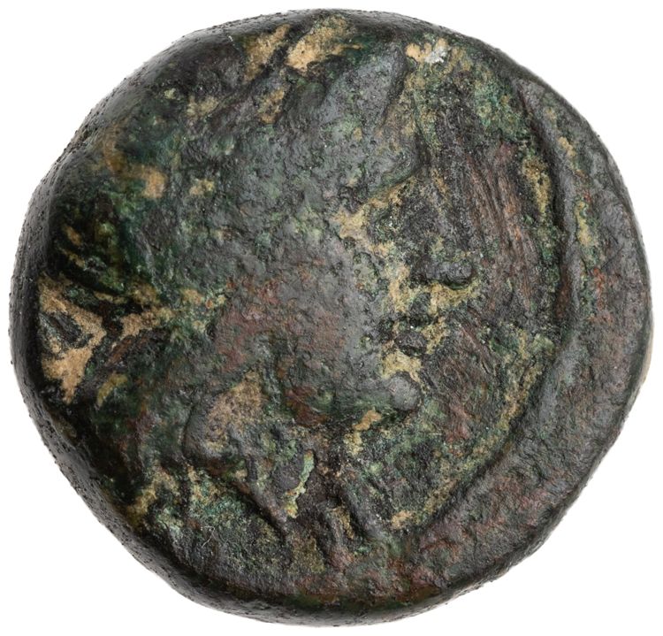 CN Type cn.alopeconnesus.1_ed.8, аверс, cn-coins