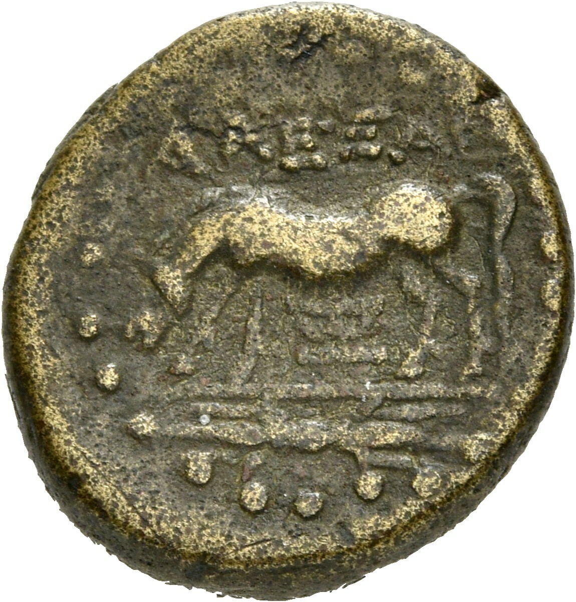 coin rev
