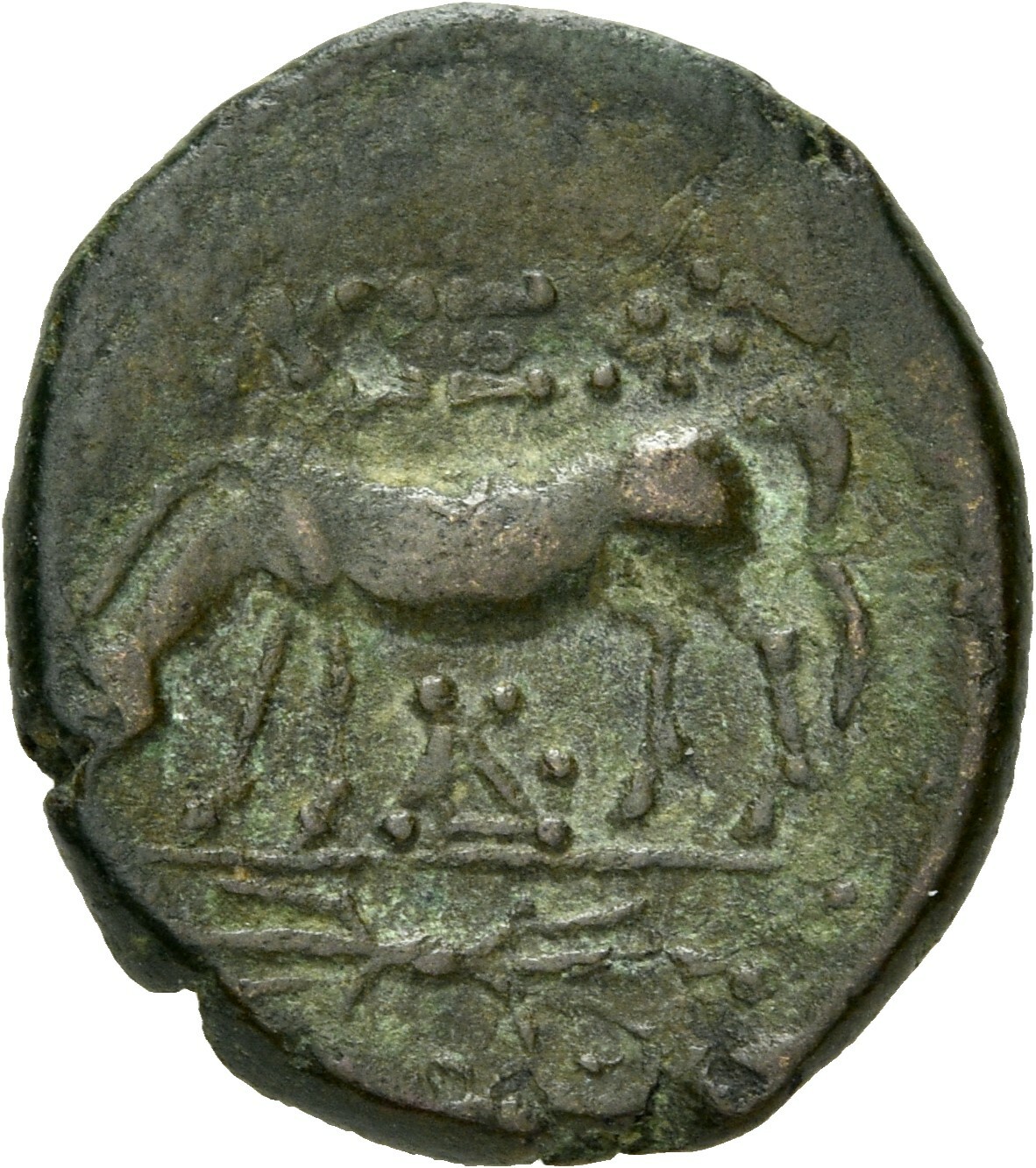 coin rev