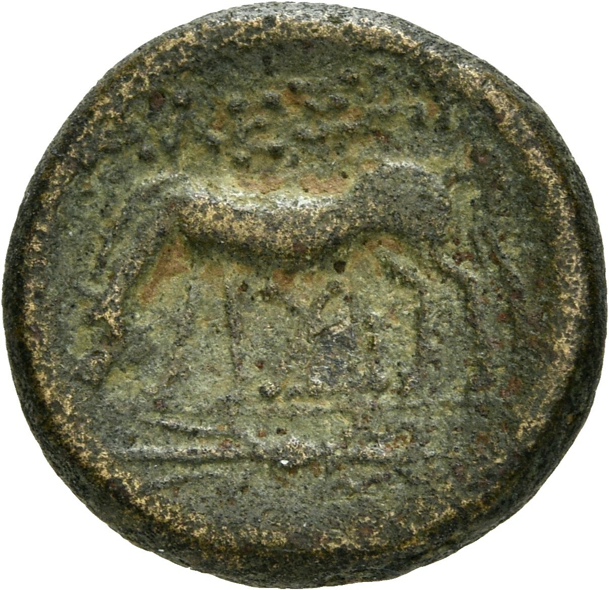 CN Type 21108, реверс, cn-coins