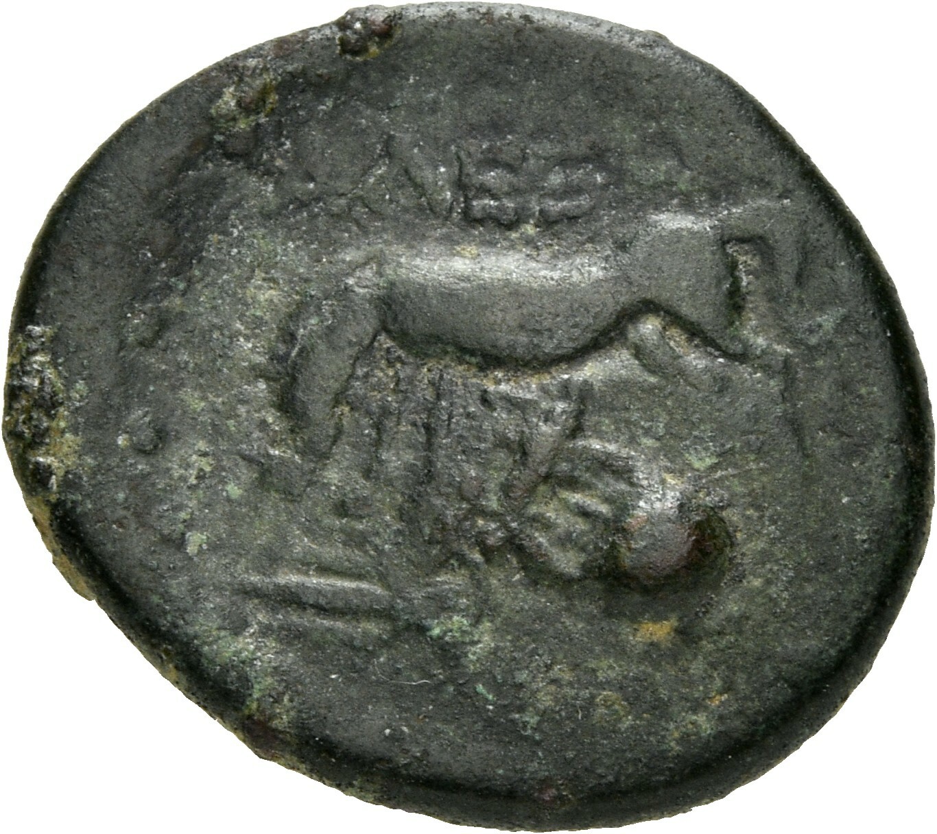 CN Type 21109, реверс, cn-coins