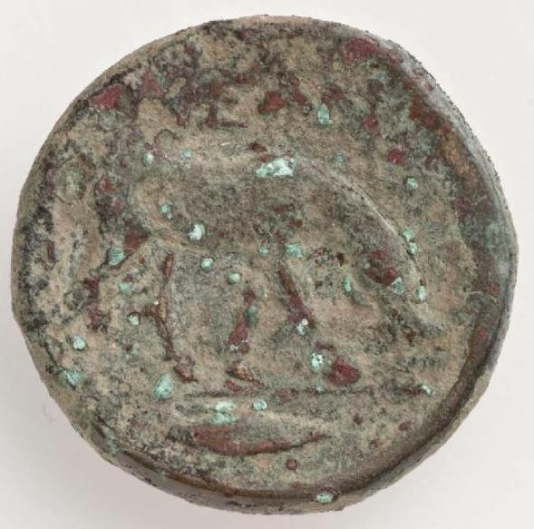 CN Type 5091, реверс, cn-coins