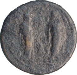 CN Type 17748, реверс, cn-coins