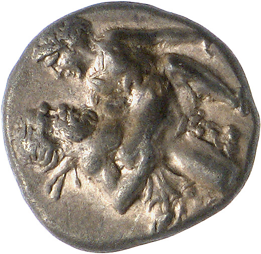 CN Type cn.thasos.1_ed.16, аверс, cn-coins