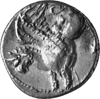CN Type cn.abdera_thrace.1_ed.202, аверс, cn-coins