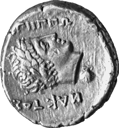 CN Type cn.abdera_thrace.1_ed.225, реверс, cn-coins