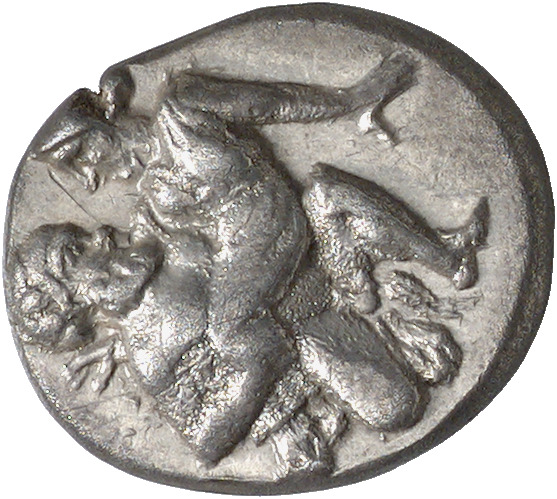 CN Type cn.thasos.1_ed.16, аверс, cn-coins