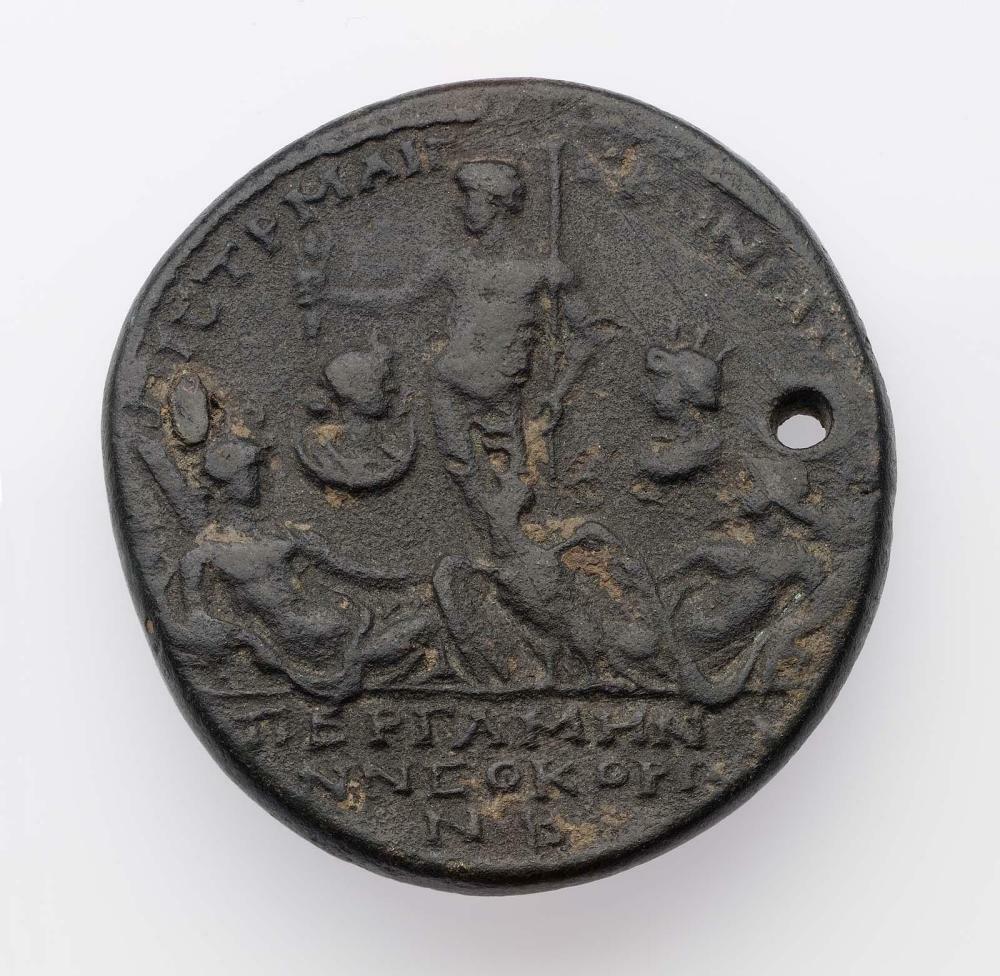 CN Type 4893, реверс, cn-coins