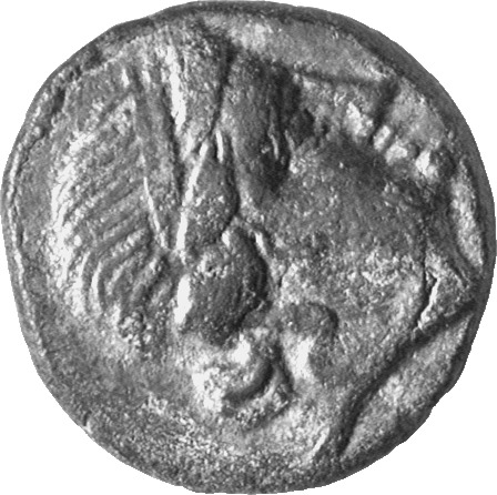 CN Type cn.mesembria.1_ed.89, аверс, cn-coins