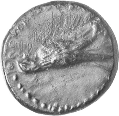 CN Type cn.seuthes_iii_odrysian_thrace.1_ed.6, аверс, cn-coins
