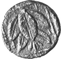 реверс CN Type cn.trierus.1_ed.4
