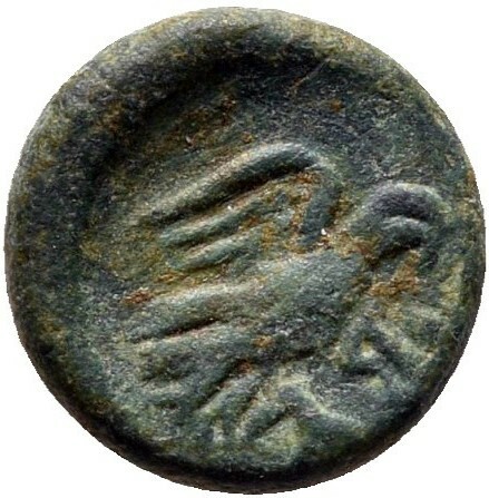 coin rev