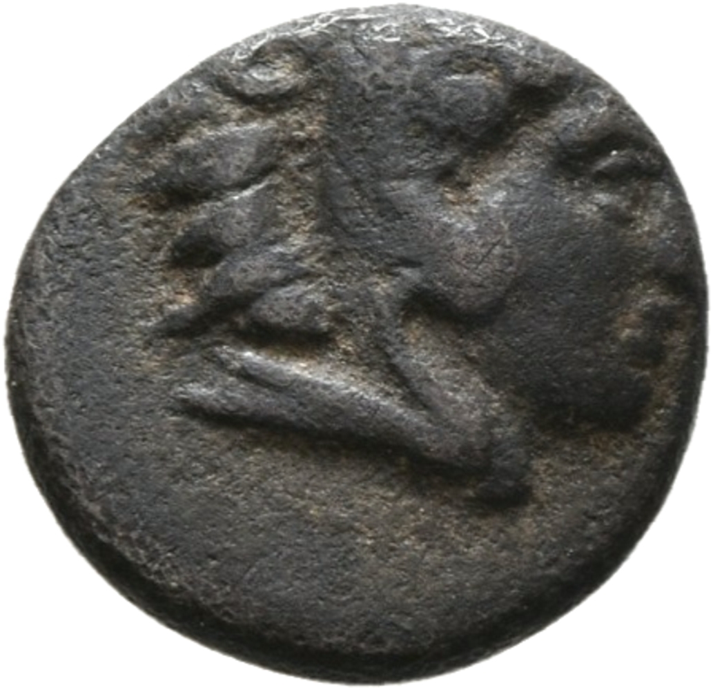 CN Type 10946, аверс, cn-coins