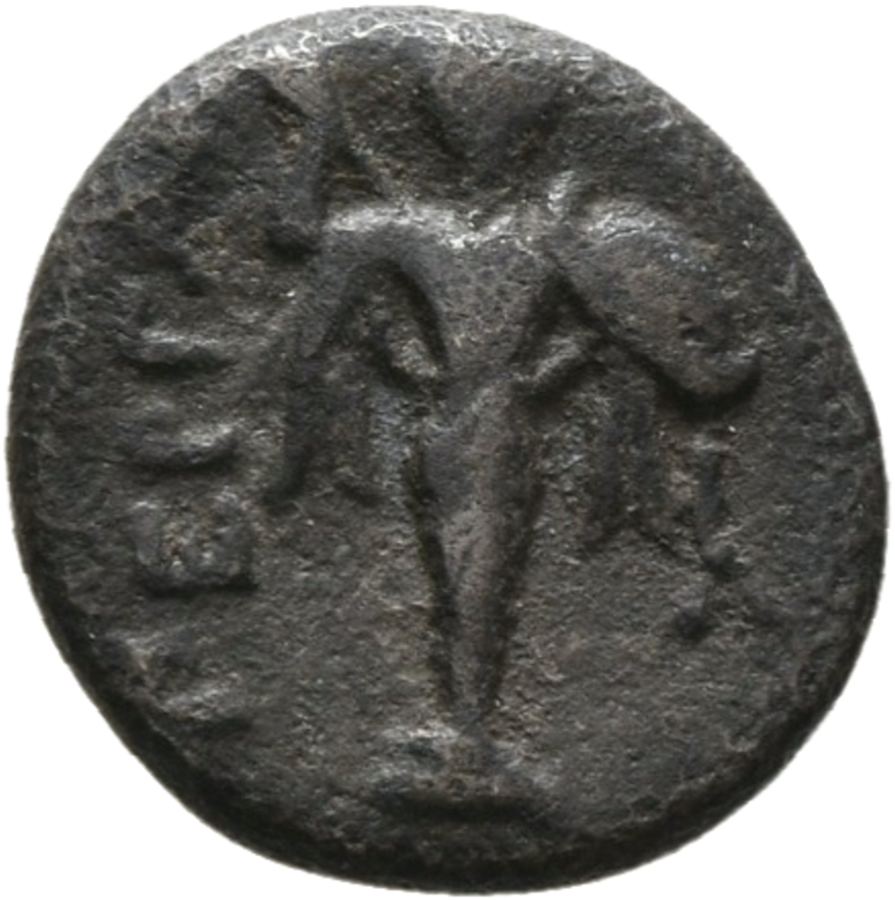 CN Type 10946, реверс, cn-coins