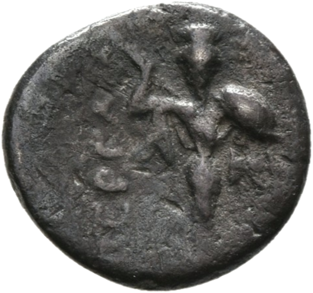 CN Type 10946, реверс, cn-coins