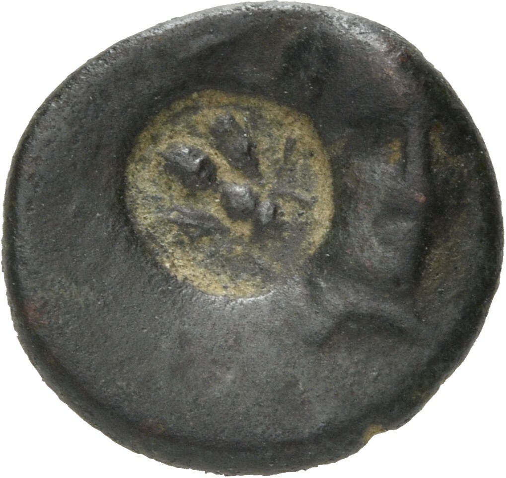 CN Type 21142, аверс, cn-coins