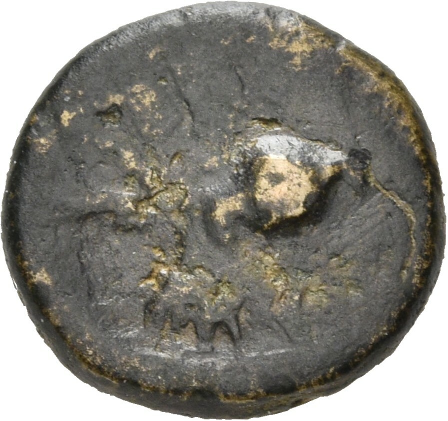 CN Type 21144, реверс, cn-coins