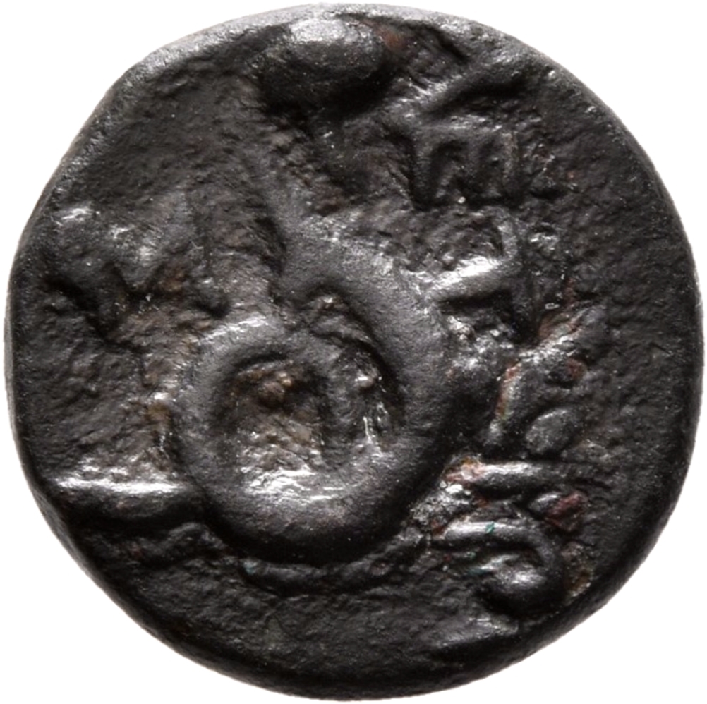 CN Type 12648, реверс, cn-coins