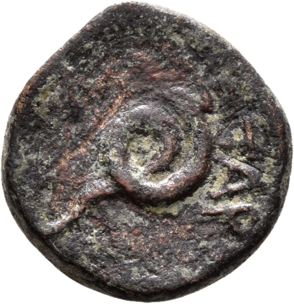 CN Type 12653, реверс, cn-coins